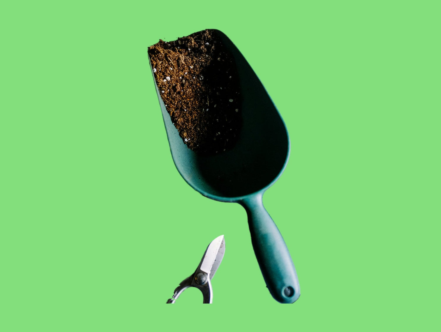 Garden Care Essentials
